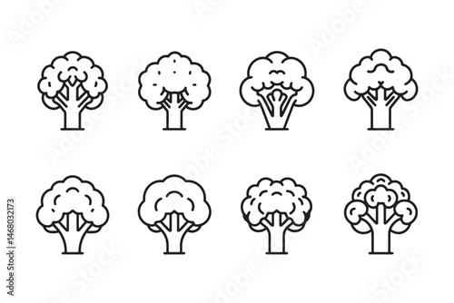 Cauliflower Modern Minimal Design