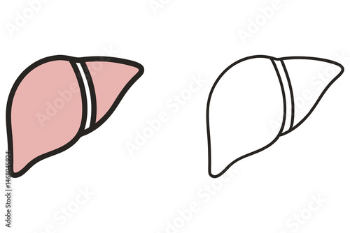 Isolated liver anatomy presents in light pink color and as a black outline vector