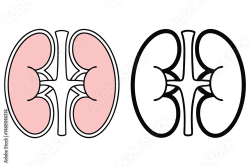 A pair of kidneys is presented with one in pink and the other in black