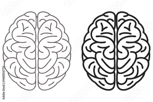 Two human brain outlines showcase internal structures in gray and black on a white background