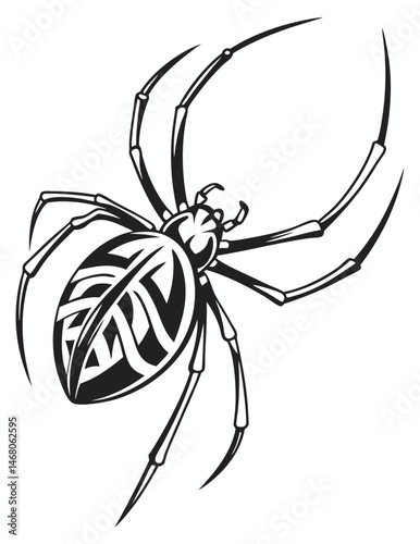 Intricate black and white spider illustration with geometric patterns