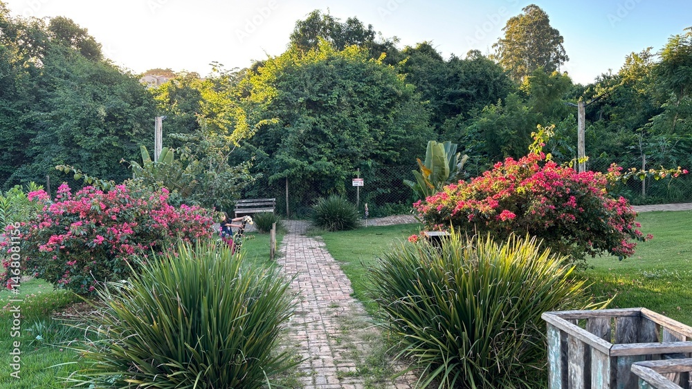 Obraz premium garden with flowers