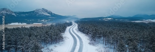 Snow covered road winding through a quiet pine forest under a gray sky