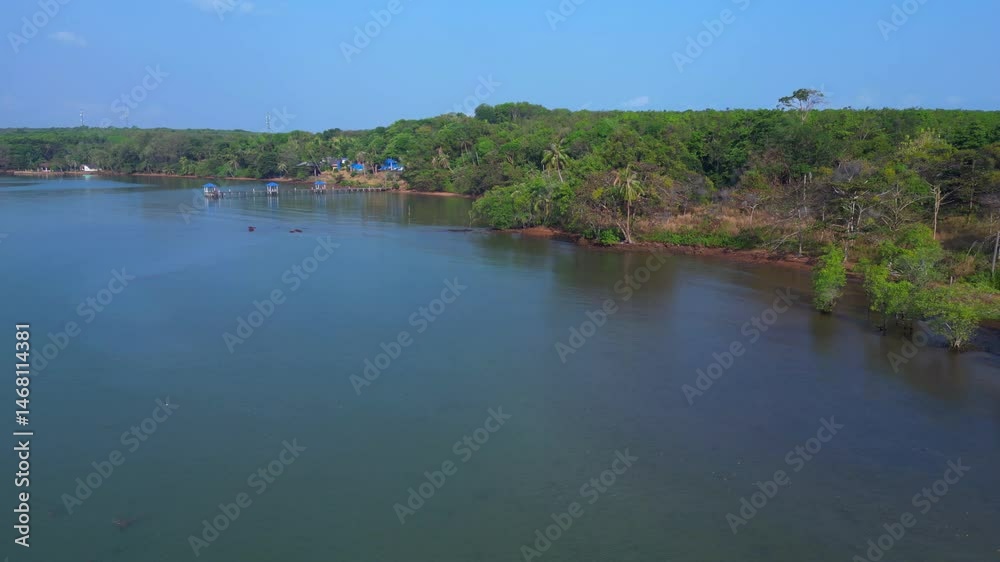Rainforest, sandy wild beach and calm ocean. Beautiful aerial view flight drone Rainforest, sandy wild beach and calm ocean. Beautiful aerial view flight drone
