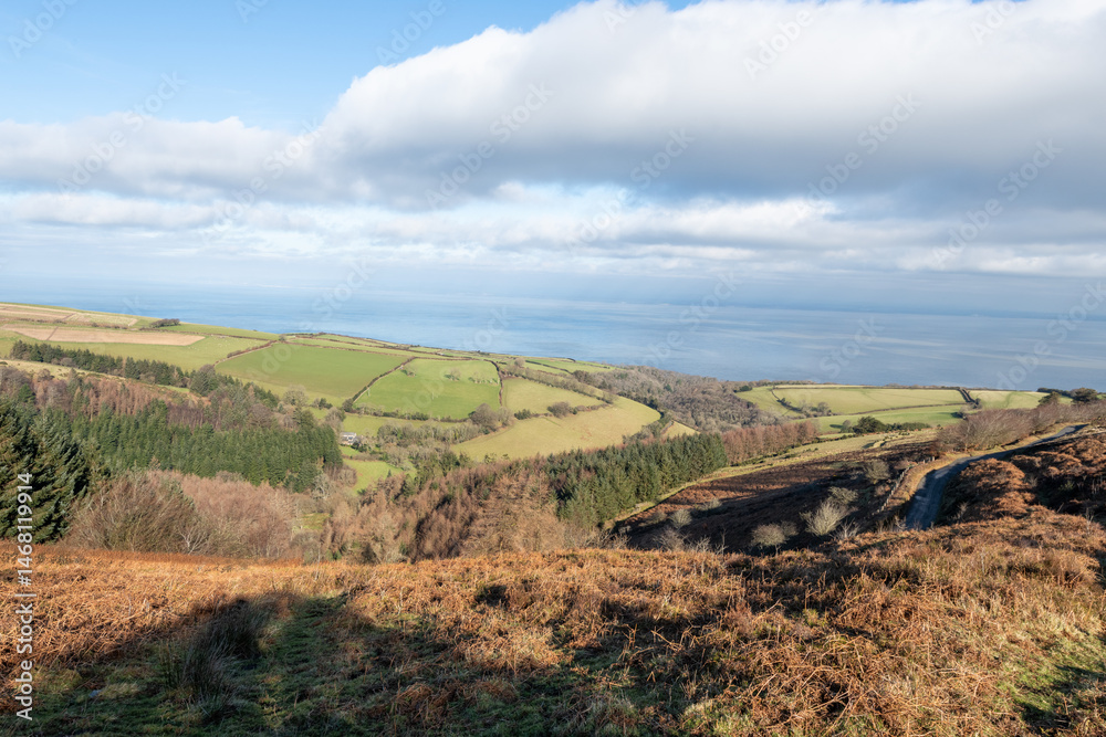 Naklejka premium Porlock Common at the top of Porlock hill in Exmoor National Park