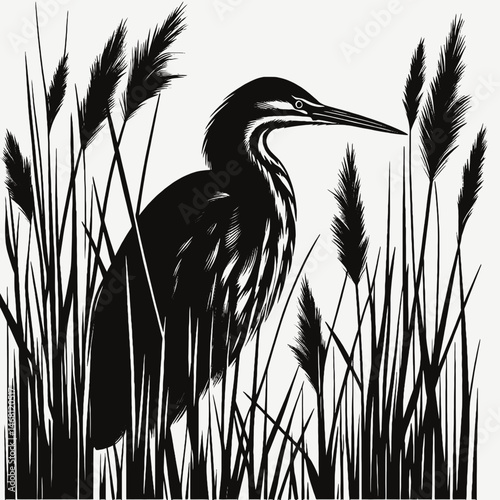 vector silhouette of a bittern bird hidden among reeds, long neck, subtle curves, white background 