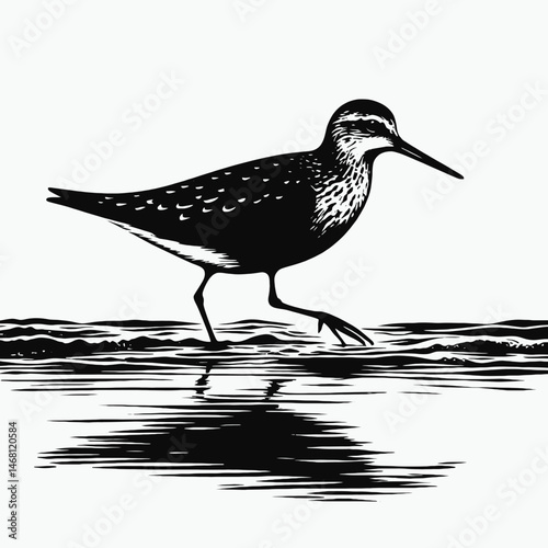 vector silhouette of a snipe bird with long beak, standing in water, minimal flat style, white background