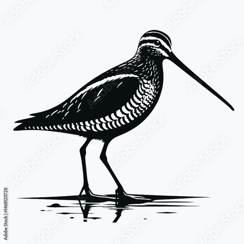 vector silhouette of a snipe bird with long beak, standing in water, minimal flat style, white background