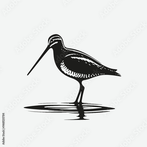 Original name(s): vector silhouette of a snipe bird with long beak, standing in water, minimal flat style, white background
