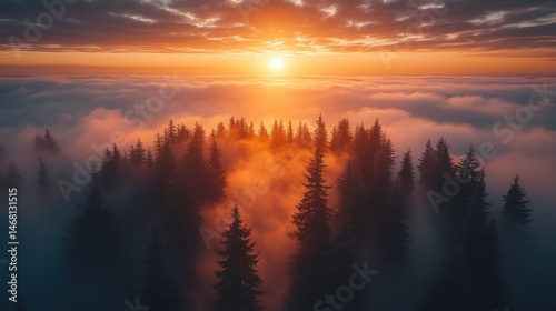 Golden Sunset over Misty Mountain Forest