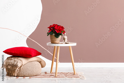Christmas plant poinsettia ...
