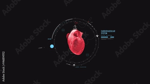 Digital hart pumpinganimation  in 4k sci fi screen element in 4K