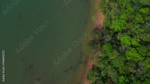 Wallpaper Mural tropical island coast luxury glamping tents. Stunning aerial view flight drone Torontodigital.ca
