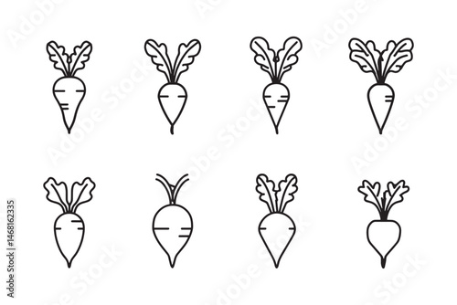 Root Daikon Line Art Illustration