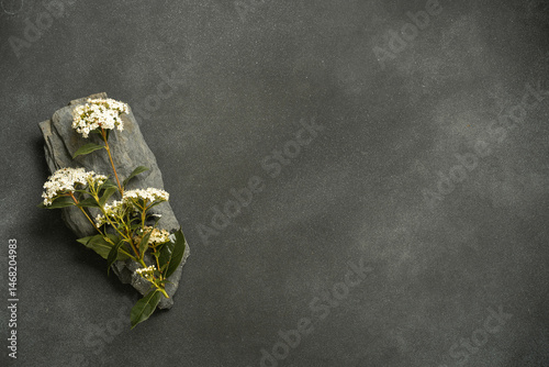 Flatlay of rustic bouquet with flowers on moody background.
