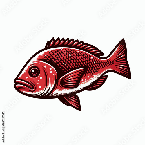 red snapper fish vector illustration