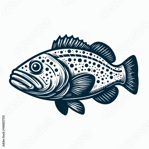 grouper fish vector illustration