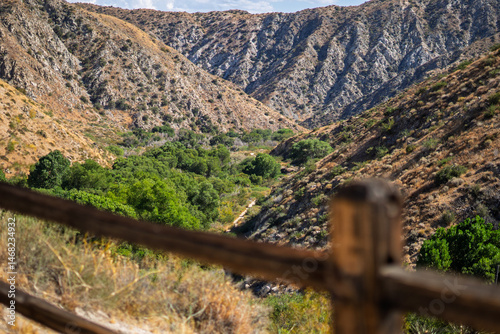 View of Canyon Trail at the Big Morongo Canyon Preserve in Morongo Valley, California