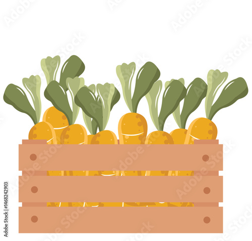 Flat Vector Illustration of Fresh Carrots in a Wooden Crate
