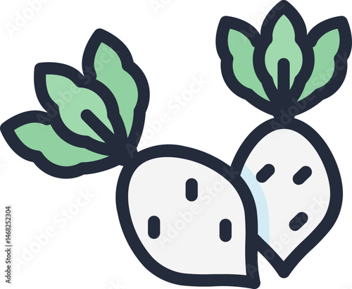 radish (2) illustration on a white background     