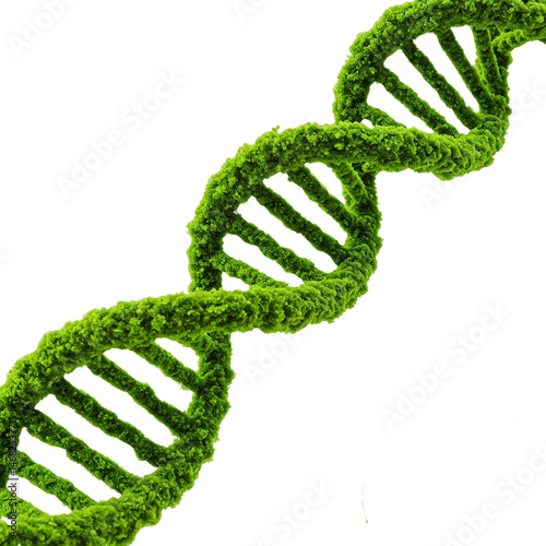 Green Bio DNA – A vivid green DNA helix with an organic texture, symbolizing genetic engineering, sustainable biotech, and nature’s code, isolated on a transparent background