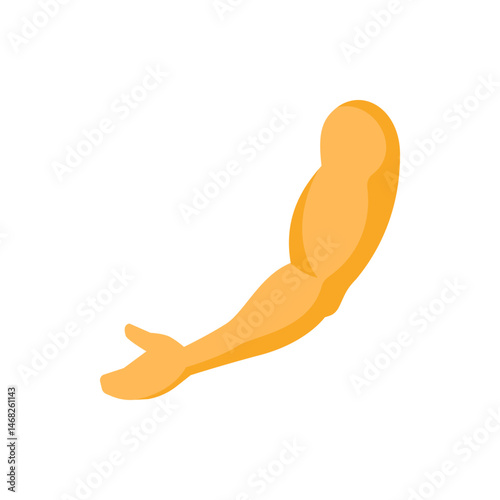 Illustration of a single arm with a flexed bicep muscle and an open hand against a white background view
