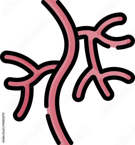 vascular (2) illustration on a white background    