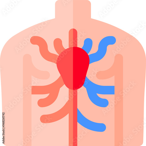 vascular illustration on a white background     