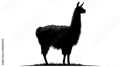 Llama standing silhouette vector isolated on white background  -  