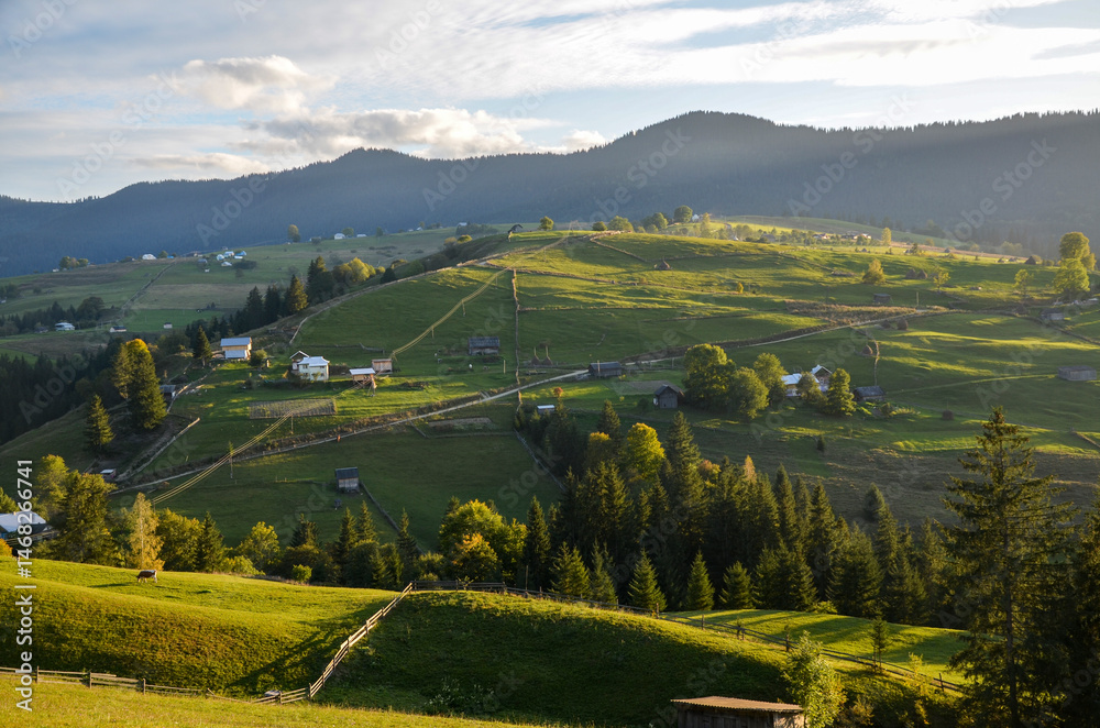Obraz premium Idyllic hillside landscape featuring lush green meadows, scattered wooden farmhouses, and forested areas, captured under the soft sunlight during tranquil day in the countryside. Carpathians, Ukraine