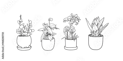 : set of ornamental plant icons, ornamental plant illustrations. hand drawn ornamental plants, wedding decorations, special day greeting cards for plants.