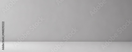 Clean minimalist white backdrop with gray seamless paper,  studio,  elegant