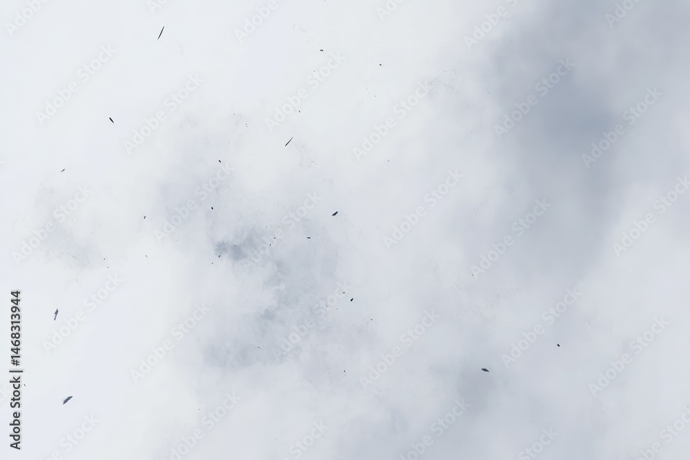 Fototapeta premium Diffused grey particles in a hazy white background