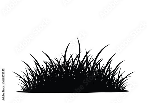 Grass silhouette. This image presents a dark outline of grass blades, capturing the essence of natural vegetation and organic growth in a simple contrast. Vector clipart illustration design.