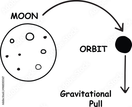 Minimalistic Diagram of the Moon's Orbit Around Earth with Gravitational Pull - Simple, Clean Design with Educational Labels and Arrows for Physics Concept Illustration