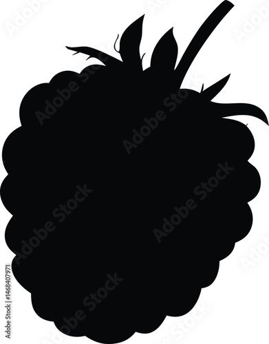 Raspberry silhouette vector, Raspberry fruit icon vector