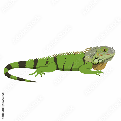 Green Iguana Illustration Detailed Isolated Vector Artwork Graphic