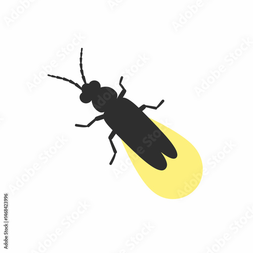 Glowing Firefly Nighttime Insect Summer Bug