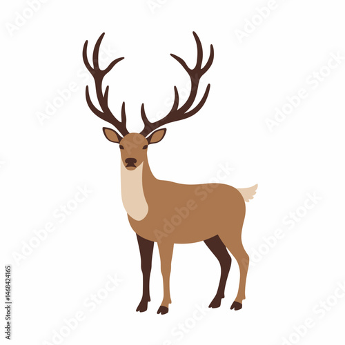 Elegant Deer With Antlers Illustration Wildlife Animal Nature