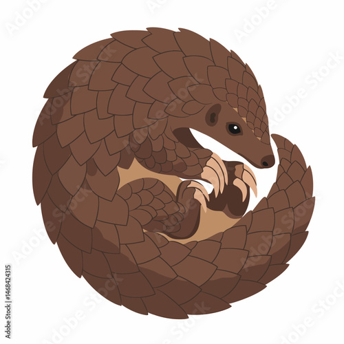 Cute Pangolin Curled Up In A Ball Vector Illustration