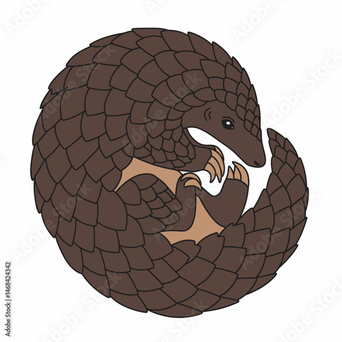 Cute Cartoon Pangolin Rolled Up Illustration Stock Image