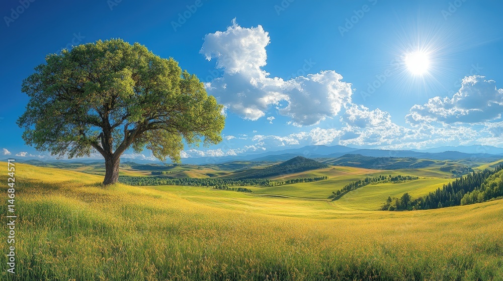 Fototapeta premium A vibrant, sun-drenched landscape with a solitary tree.
