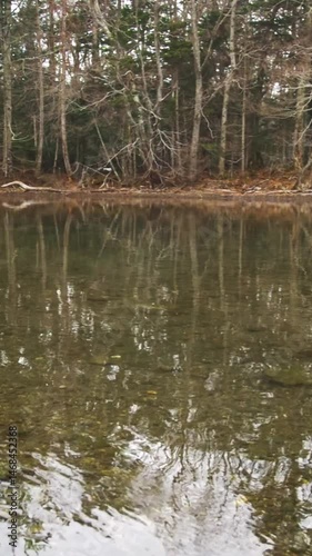 穏やかに揺らめく水面に反射する湖畔の森。