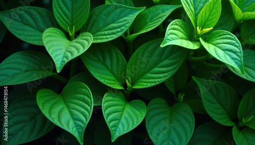 Deep emerald leaves, rich shadows, dense growth , green, nature, foliage