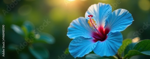 Intricate blue hibiscus, pollen dusted stamen, sunlit scene, macro, blossom