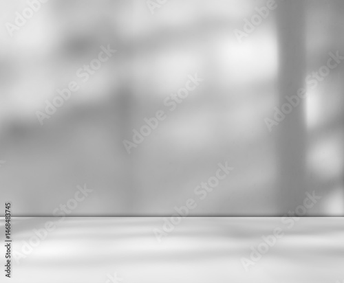 Grey wall shadow background kitchen floor white abstract studio concrete table white texture light texture mockup product marble room display plant cement minimal shelft bar leaves backdrop