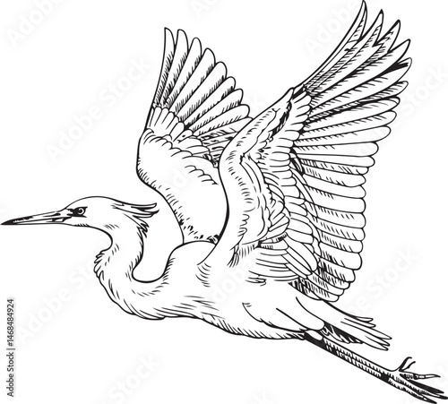 Heron Silhouette Vector – Elegant Wetland Bird Design

Graceful Heron SVG – Flying and Standing Poses

Majestic Heron Clipart – Nature & Wildlife Art

Minimalist Heron Outline – Bird Lovers’ Design

H