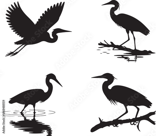 Heron Silhouette SVG – Elegant Bird Design for Nature Crafts & Decor"

"Great Blue Heron Clipart – Minimalist Bird Art for Shirts & Prints"

"Flying Heron SVG – Wildlife Silhouette for Cricut & DIY Pr