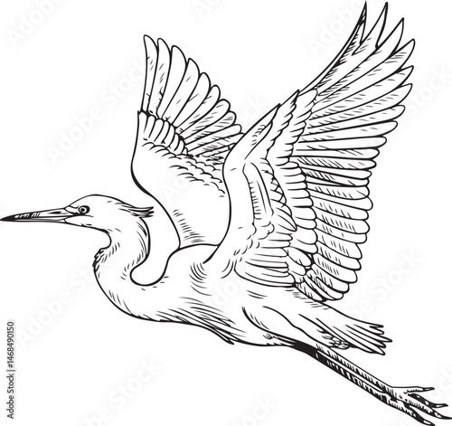 Heron Silhouette SVG – Elegant Bird Design for Nature Crafts & Decor"

"Great Blue Heron Clipart – Minimalist Bird Art for Shirts & Prints"

"Flying Heron SVG – Wildlife Silhouette for Cricut & DIY Pr