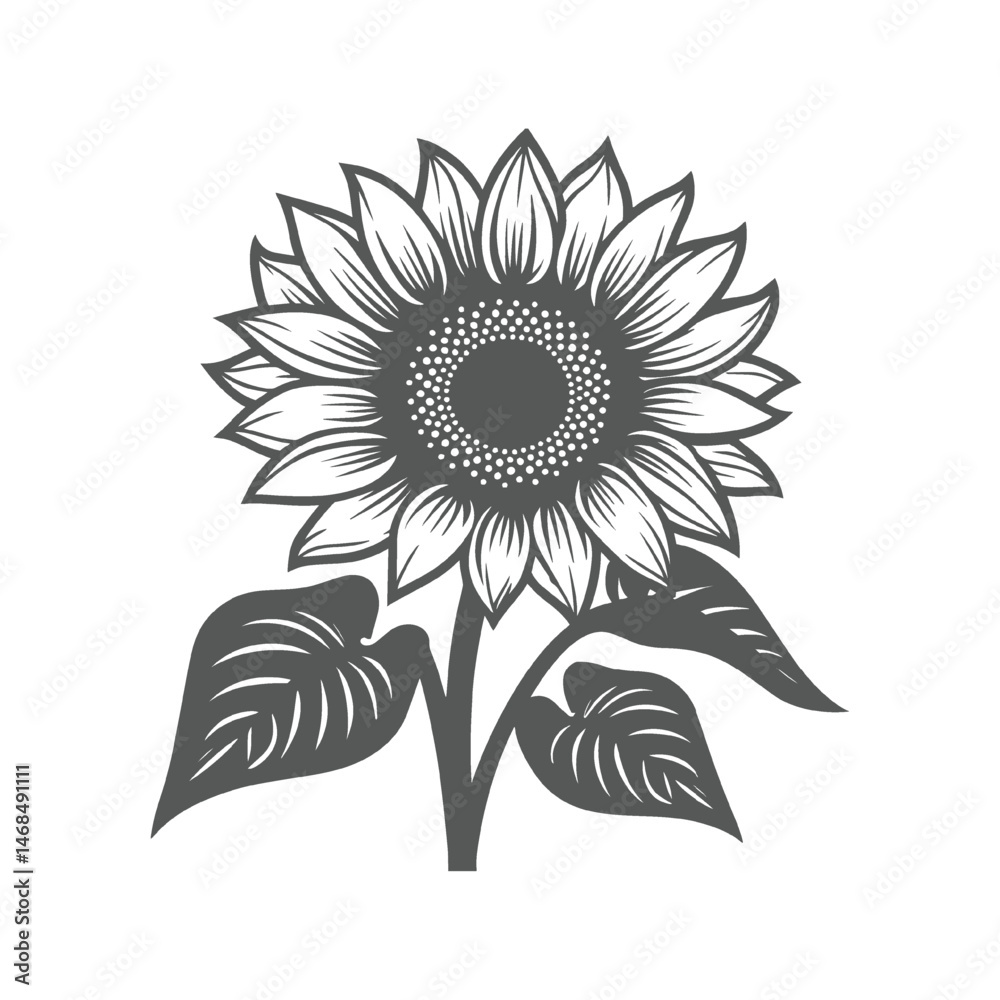Fototapeta premium sunflower vector illustration